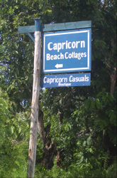 Capricorn Casuals Boutique