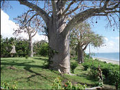 Capricorn Beach Cottages